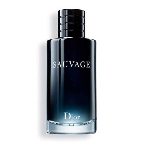 dior 19 eau de toilette|dior eau sauvage toilette 200ml.